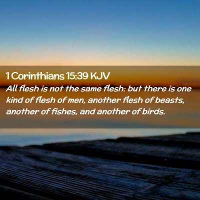 1 Corinthians 15:39 KJV Free Bible Images