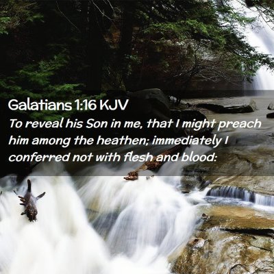 Galatians 1:16 KJV Free Bible Images