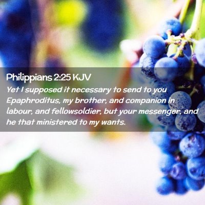 Philippians 2:25 KJV Free Bible Images