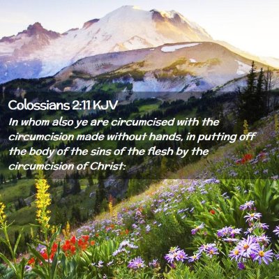 Colossians 2:11 KJV Free Bible Images