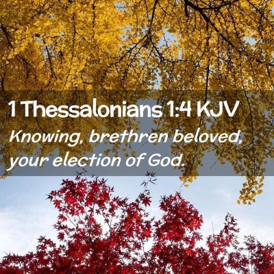 1 Thessalonians 1:4 KJV Free Bible Images