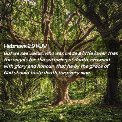 Hebrews 2:9 KJV Free Bible Images