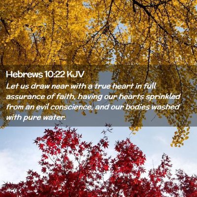 Hebrews 10:22 KJV Free Bible Images