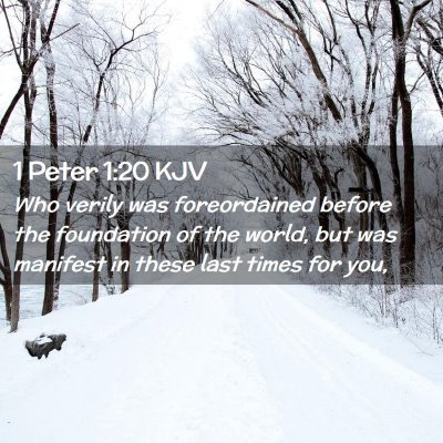 1 Peter 1:20 KJV Free Bible Images