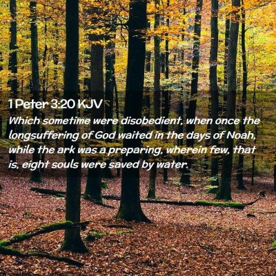 1 Peter 3:20 KJV Free Bible Images