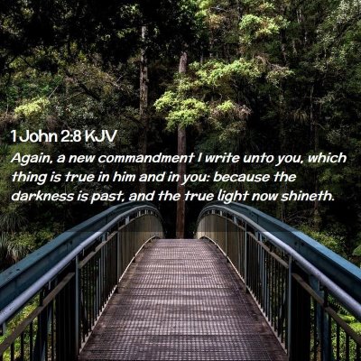 1 John 2:8 KJV Free Bible Images