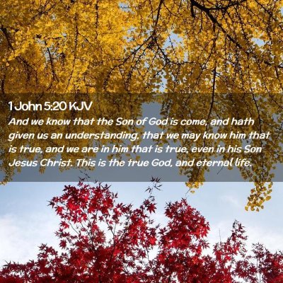 1 John 5:20 KJV Free Bible Images