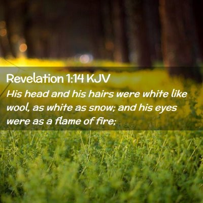 Revelation 1:14 KJV Free Bible Images